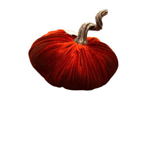 Unbranded Orange Velvet Pumpkin Decor One Size 8

Orange velvet 8” pumpkin